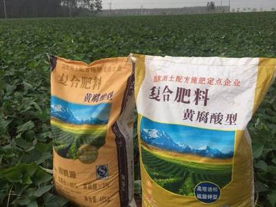 云天化种植牛人-每年收入500万的“番薯大王”